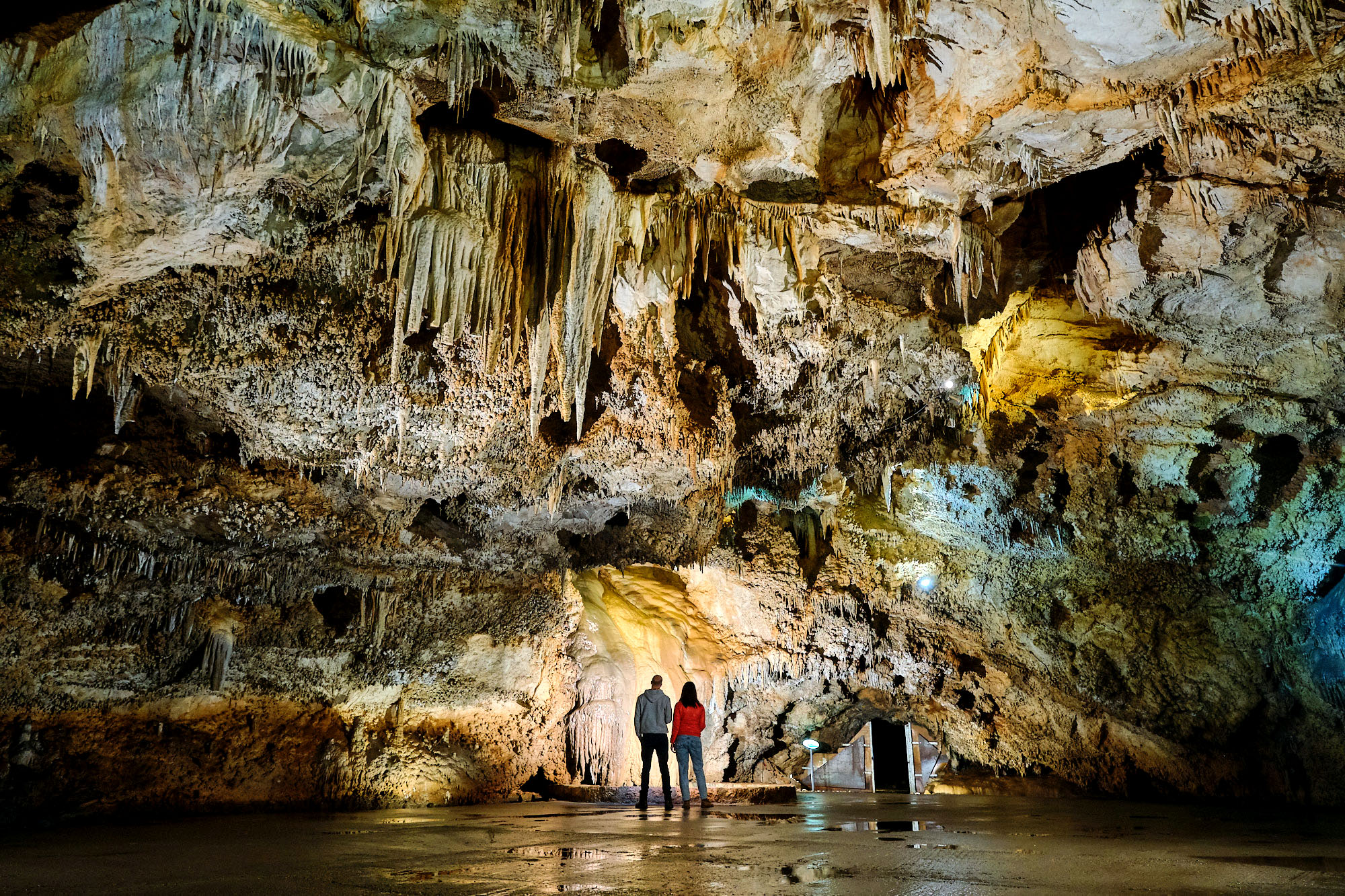 Nature & Adventure