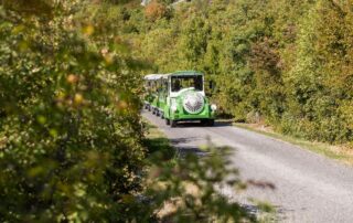 Eco train ride at Lipa Cave, Cetinje Montenegro