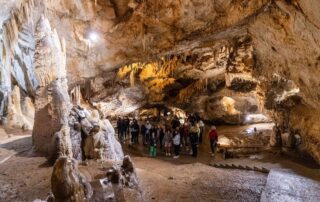 Lipa cave, one of the most significant tourist attractions in Montenegro, has been awarded the prestigious Montenegro Quality Gold label, granted by the National Tourism Organization of Montenegro. This recognition confirms a high level of service quality, safety, and authenticity of the visitor experience.